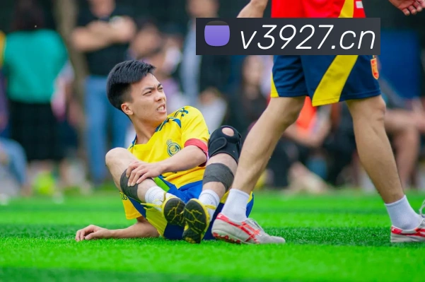 乐冠国际平台生态图